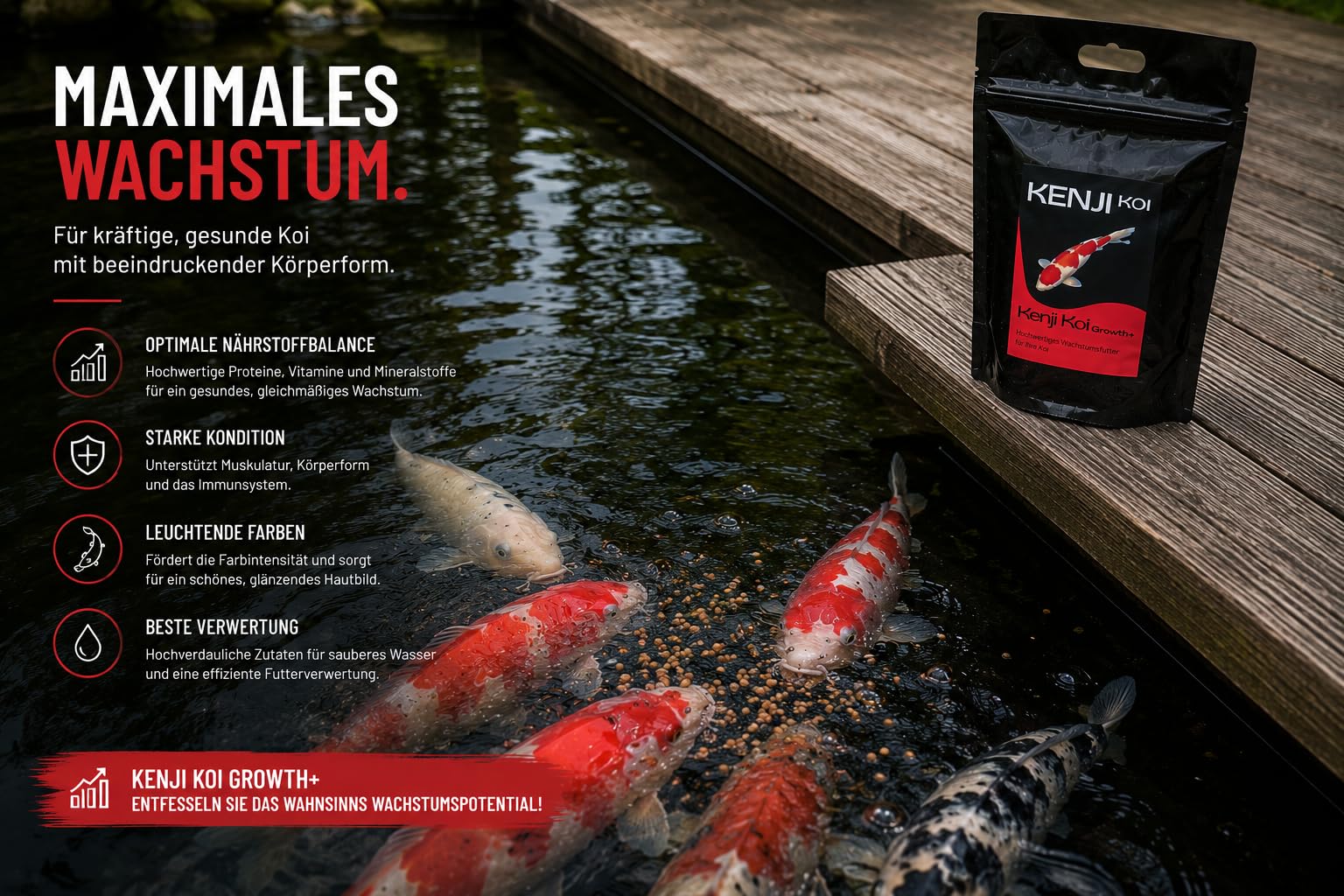Growth+ Koifutter 5kg 6mm Wachstumsfutter für den Koi, Schwimmendes Koifutter mit hochwertigen Proteinen, Optimal für jeden Tag: Fördert den Muskelaufbau der Koi
