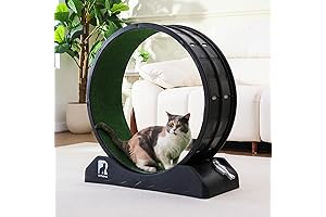 Cat Exercise Wheel 31.5 Inches, Large Cat Running Wheel with Enhanced Stability & Durable Track