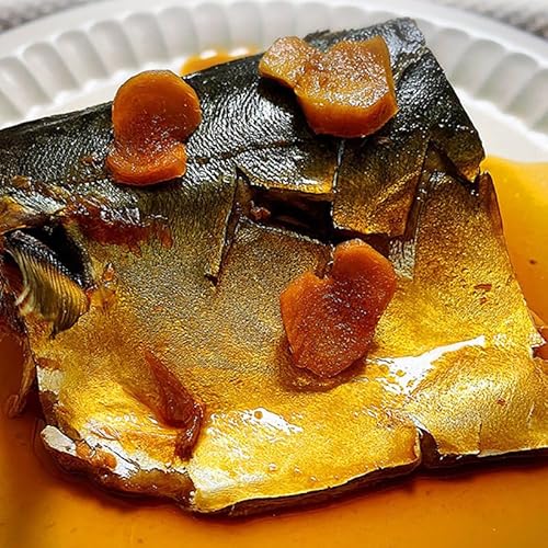 [定期便2ヶ月]さば生姜煮 業務用パック 70g×8切れ 冷凍 惣菜 おかず つまみ レンチン 湯煎 簡単 煮物 煮付