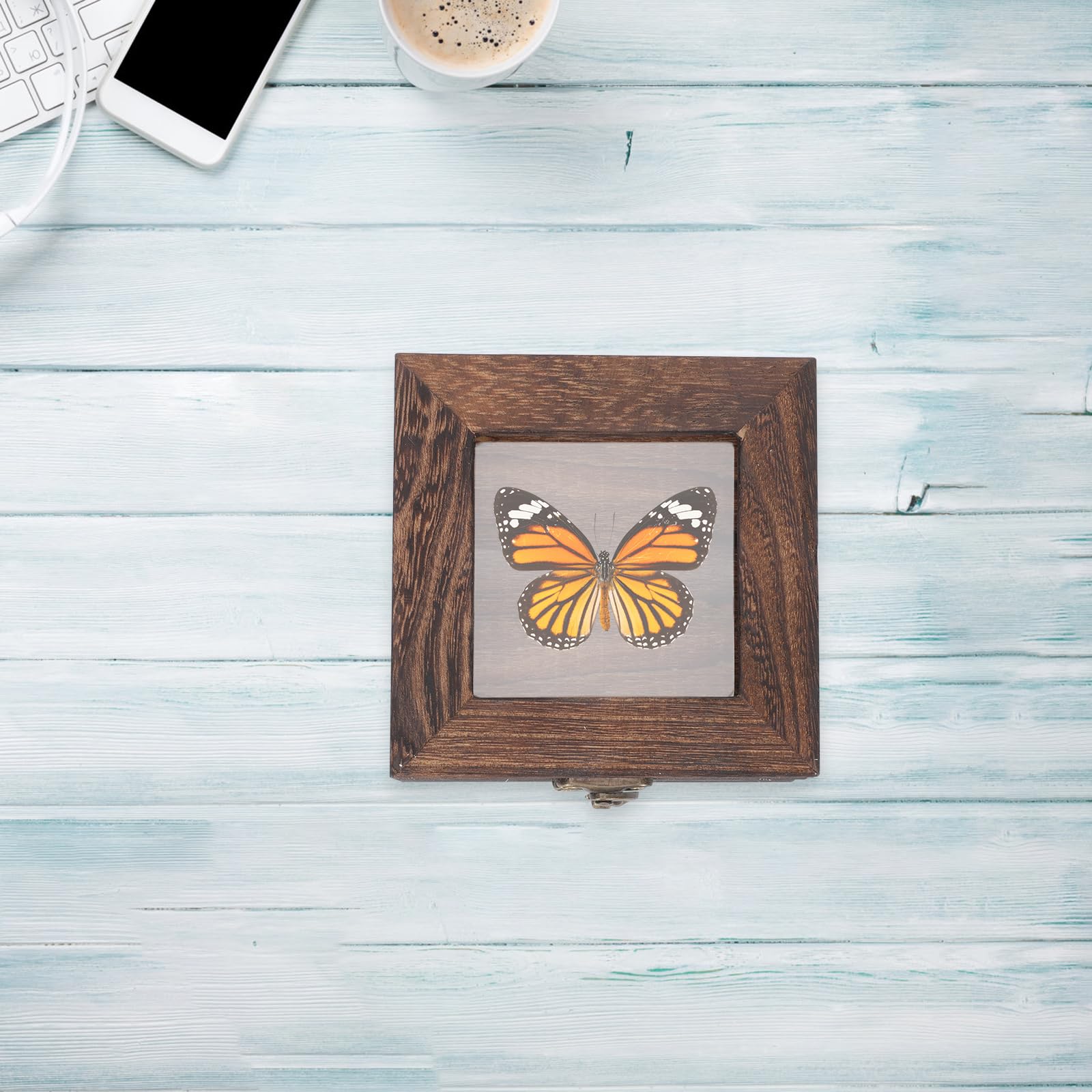 Cabilock Insekten Aufbewahrung mit Design Vitrine und Acryl Retro Multifunktionale Kleine Holzkiste mit Deckel für Schmuck und Münzen
