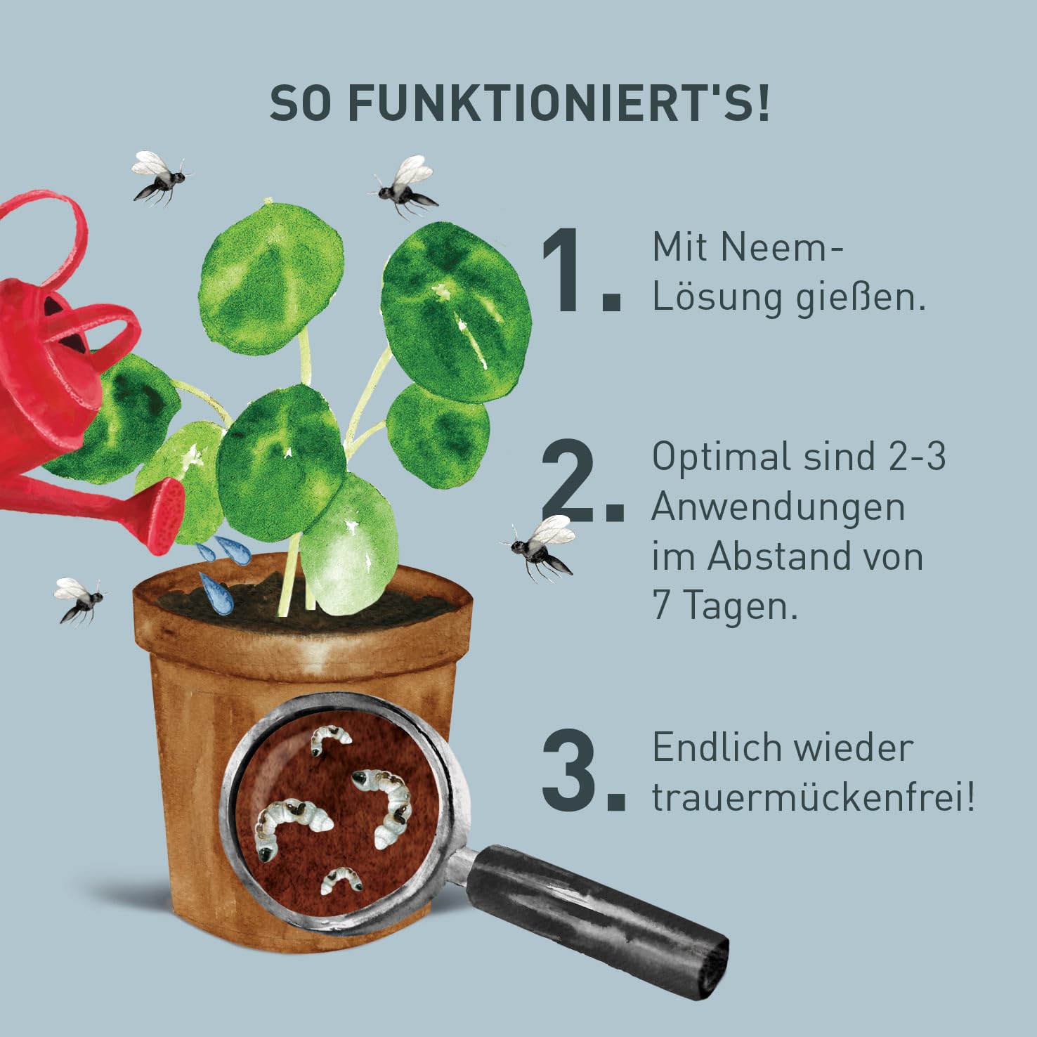 Plantura Bio-Trauermückenfrei Neem, hochwirksames Gießmittel gegen Trauermücken aus Neem, 75 ml für ca. 30 Pflanzen