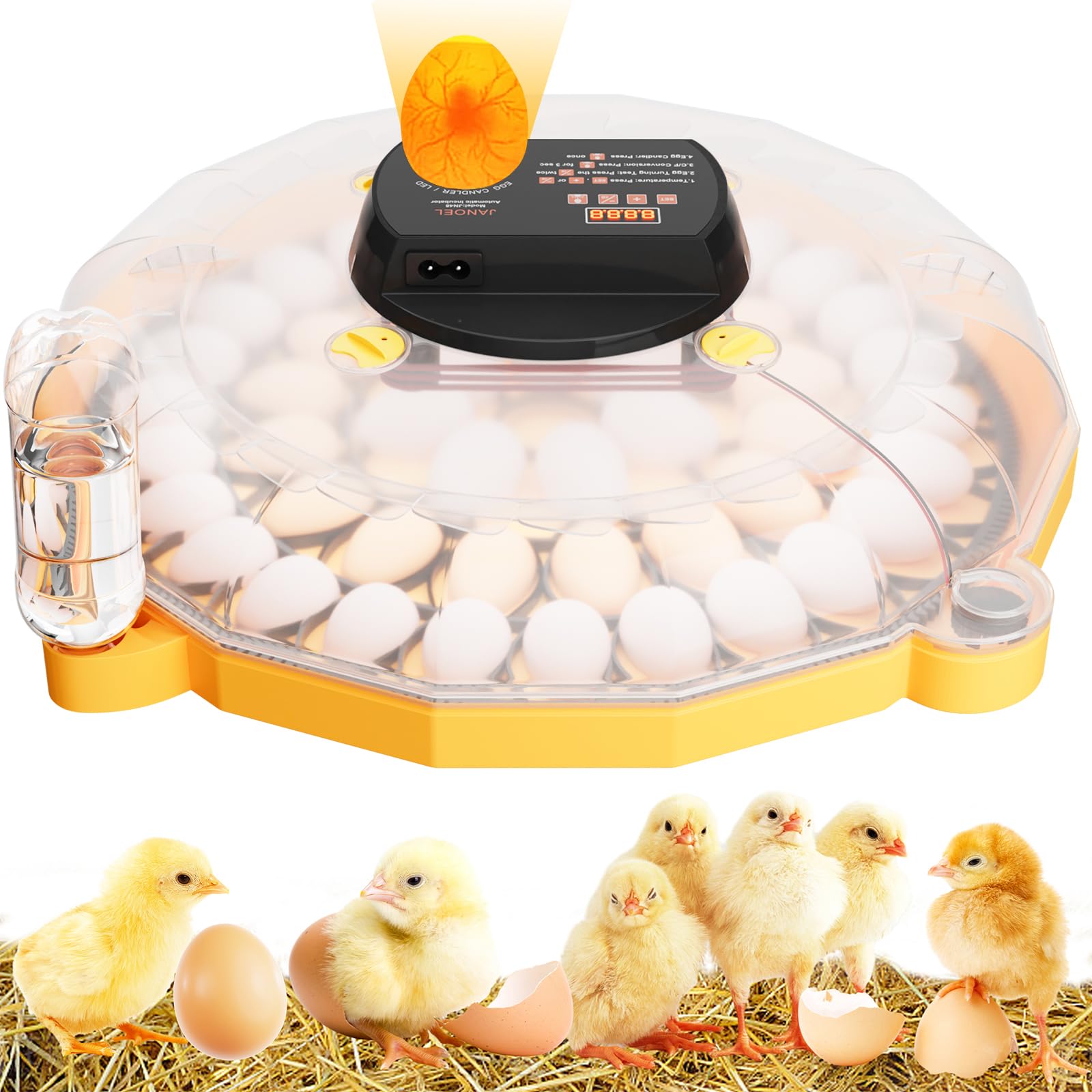 Macchina incubatrice automatica da 48 uova, controllo automatico dell'umidità e capovolgimento, indicatore LED di temperatura regolabile per uova di pollame, quaglie e piccioni