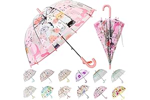 Kiddie Umbrella: Transparent Dome Bubble Umbrella for Boys and Girls