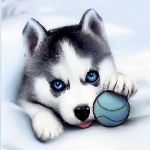 Kaliosy Pintura artística de diamantes 5D con diseño de perro husky y bola por números, kit de pintura con diamantes, arte de cristal, manualidades,
