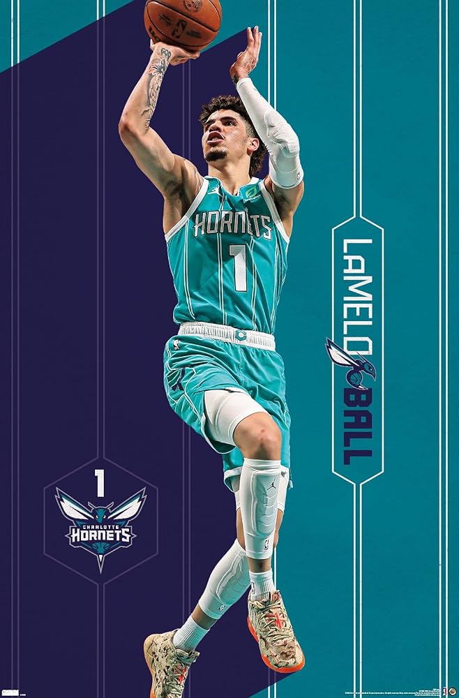 Amazon.co.jp: Trends International NBA シャーロット