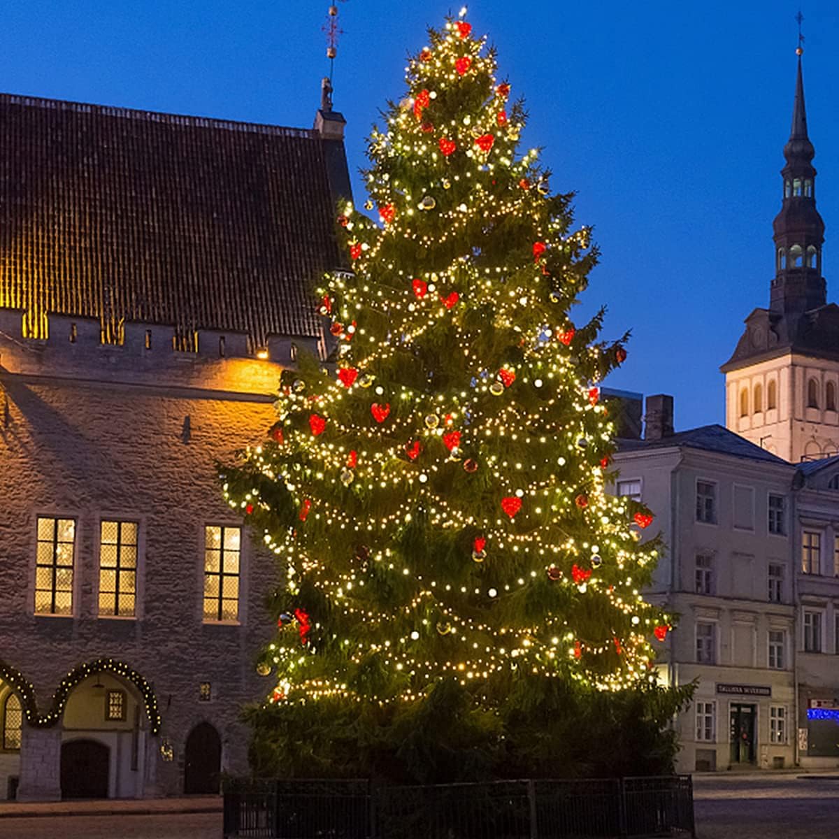 1000LEDs 100M Luci Natale Esterno, Luci per Albero di Natale Impermeabile con 8 Modalità, Catena Luminosa Esterno Luci Natalizie per Albero/Natale/Giardino/Interno/Festa, Bianco Caldo