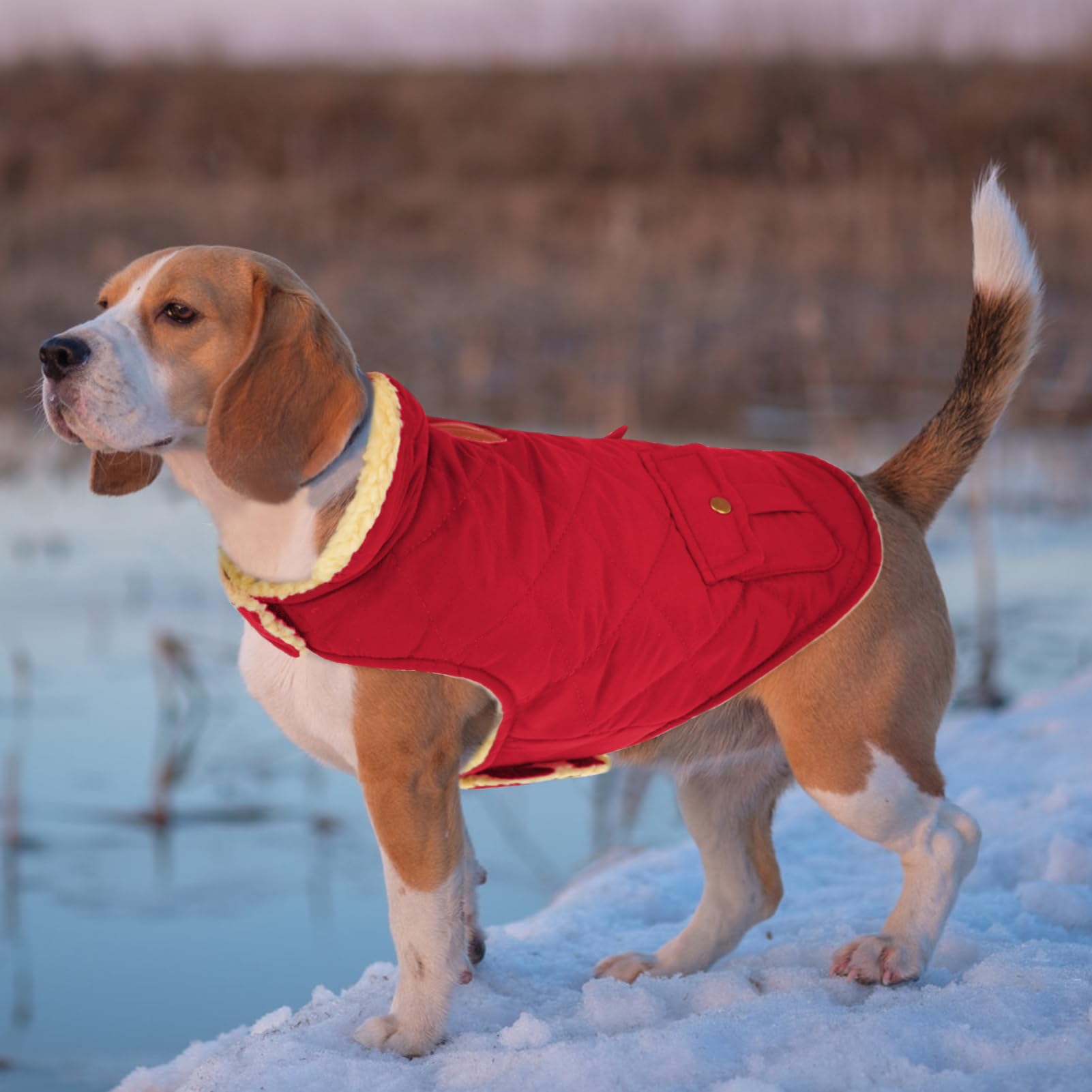 CITÉTOILE Cappotto per Cani, Gilet Invernale Chihuahua con foro Coulisse, Giacca Calda di lana Spessa Adatta a Cani Invernali Piccoli/Medi/Grandi, Rosso, XS
