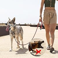 Vista 6 de Collar de cabeza reflectante, sin tirones, ajustable, para cabeza de perro, correa de bozal antitirones, correa para la nariz para perro, fácil