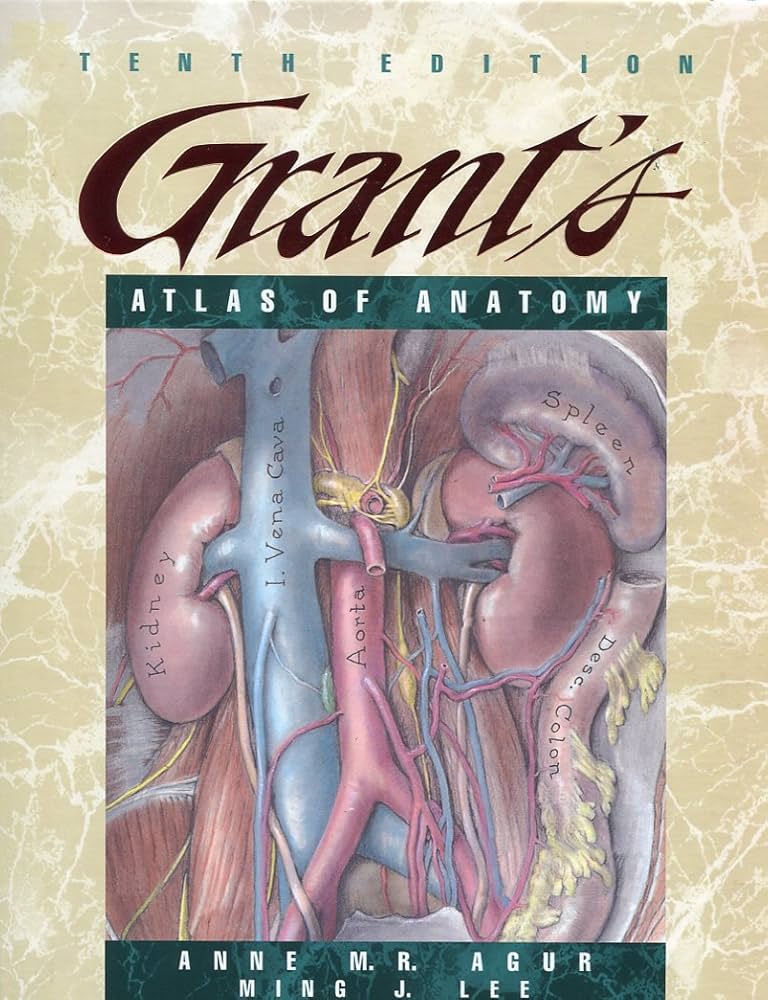 Grant's Atlas of Anatomy: 9780781722605: Medicine & Health Science Grant's Atlas of Anatomy: 9780781722605: Medicine & Health Science