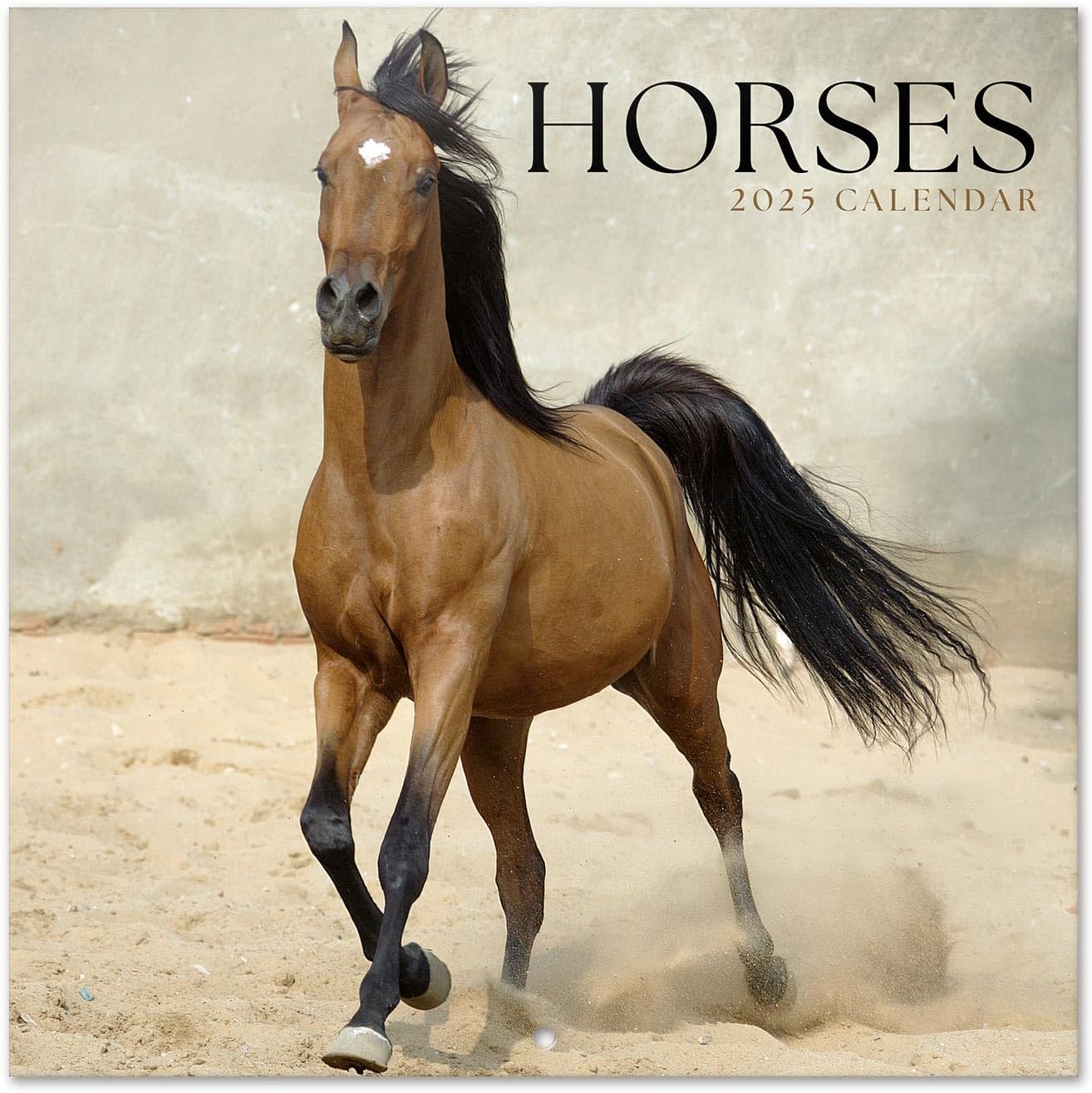 Grupo Erik Wall Calendar 2025 - Horses | 12" x 12" Square Calendar 2025, Wall Planner 2025, Family Planner Calendar 2025 | Horse Calendar 2025, Horses Calendar 2025