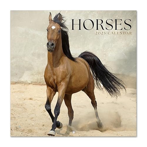 Grupo Erik Wall Calendar 2025 - Horses | 12" x 12" Square Calendar 2025, Wall Planner 2025, Family Planner Calendar 2025 | Horse Calendar 2025, Horses Calendar 2025