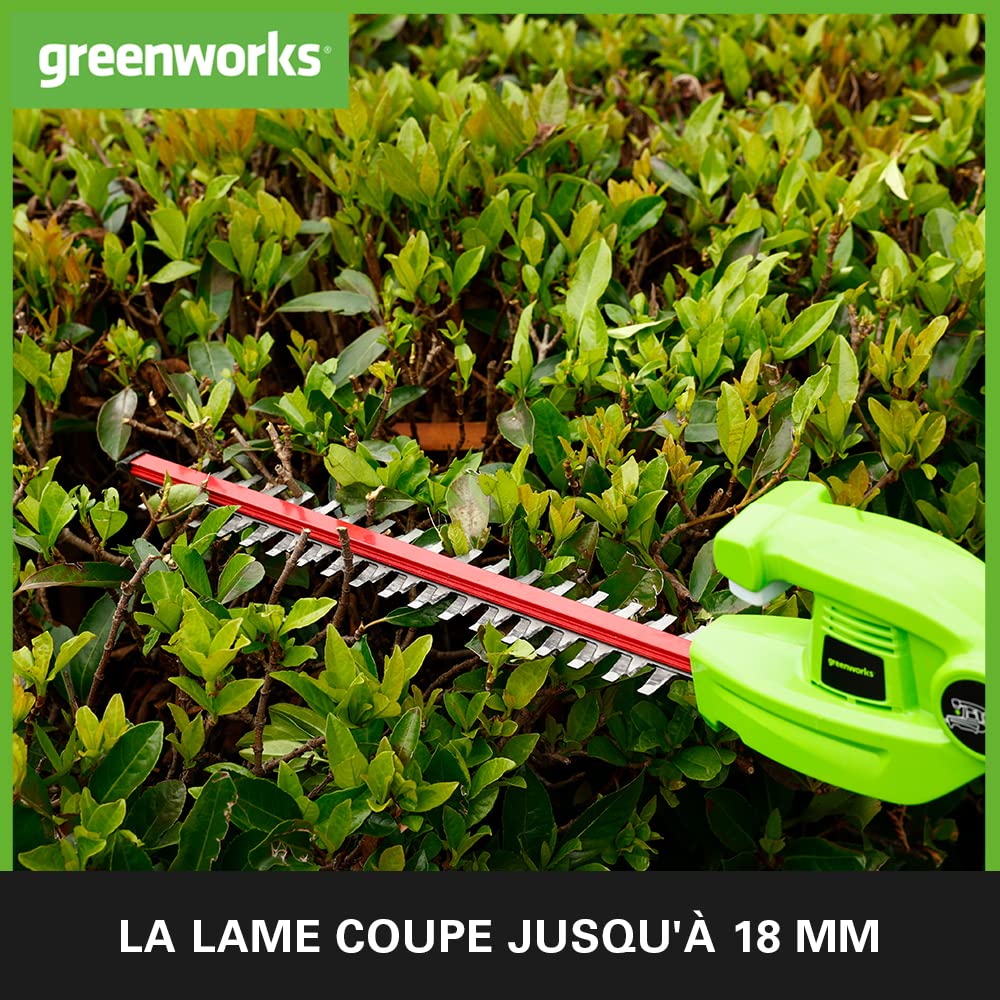 Greenworks G24PH51K2 Taille-Haie à Batterie sur Perche Modulable, Lames de 51 cm Double Action, Coupe jusqu'à 18 mm, Pivot de tête de 125°, 1500 tr/min, Batterie 24V et Chargeur, Garantie 3 Ans