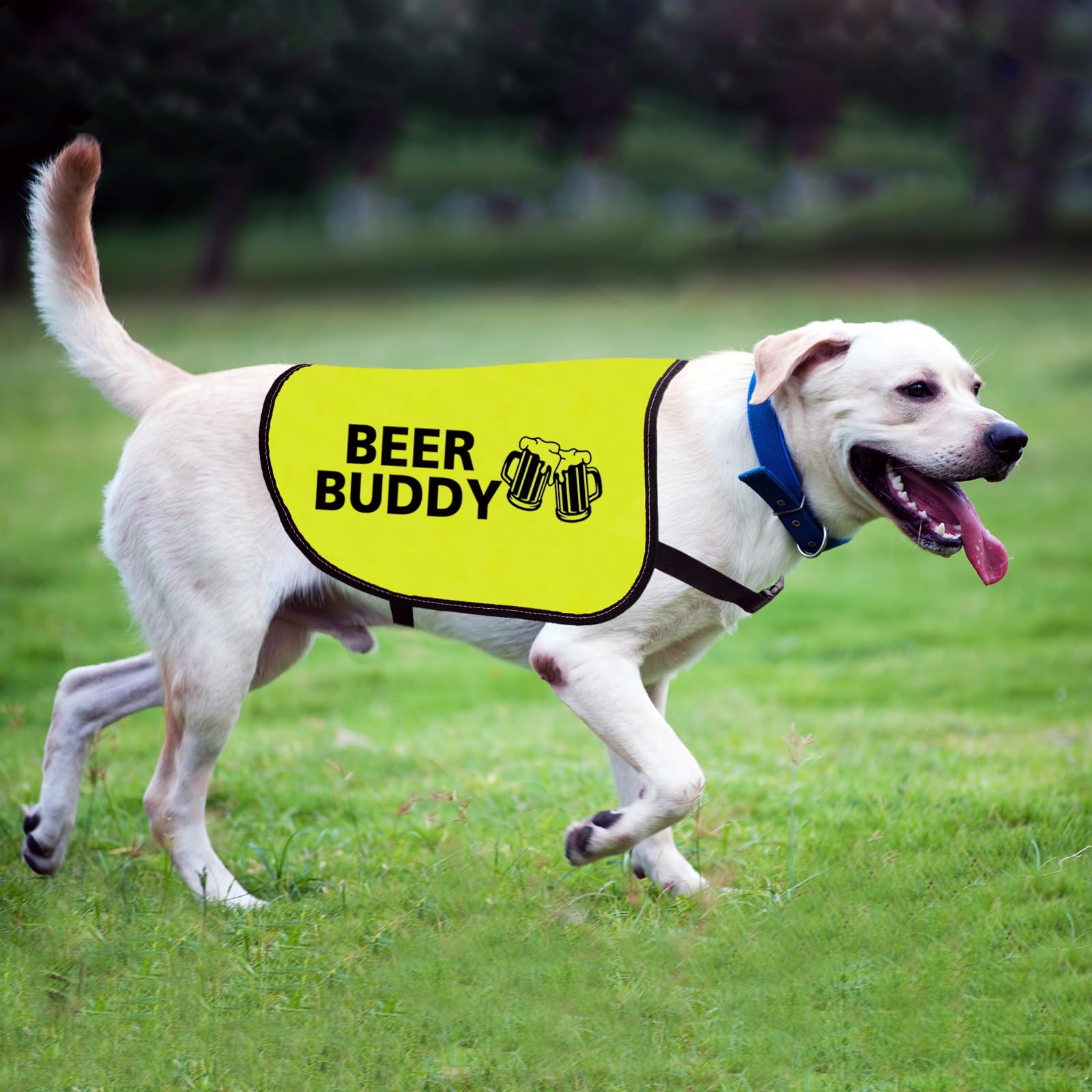 View 6