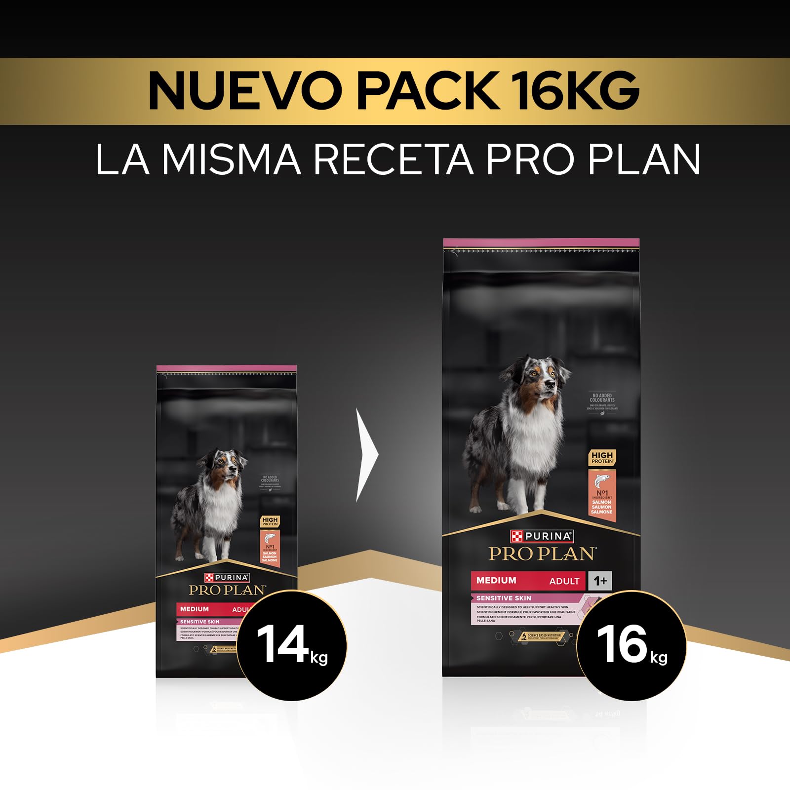 Purina Pro Plan Medium Adult Derma Pienso para Perro Mediano Adulto, Piel y Pelaje con Salmón, Saco de 16kg