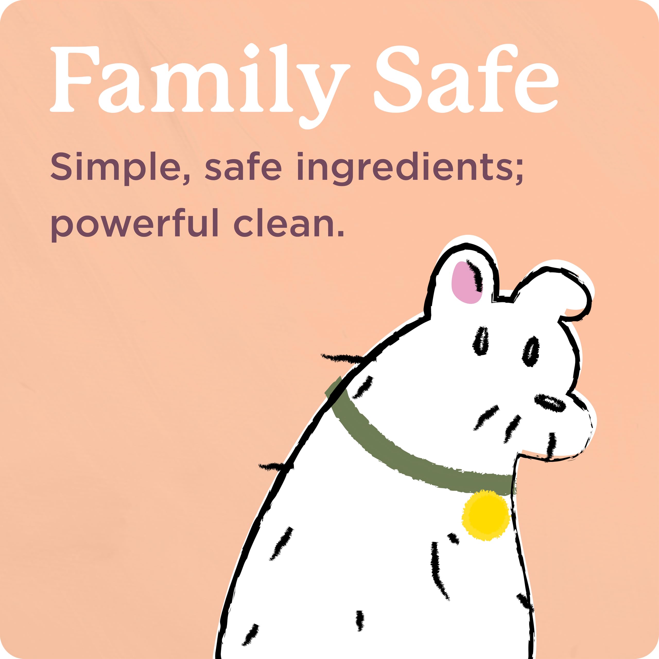 Shaw Floors Carpet Cleaner| Stain & Soil Remover for Carpet, Rugs, Upholstery and MORE | PACK OF 1