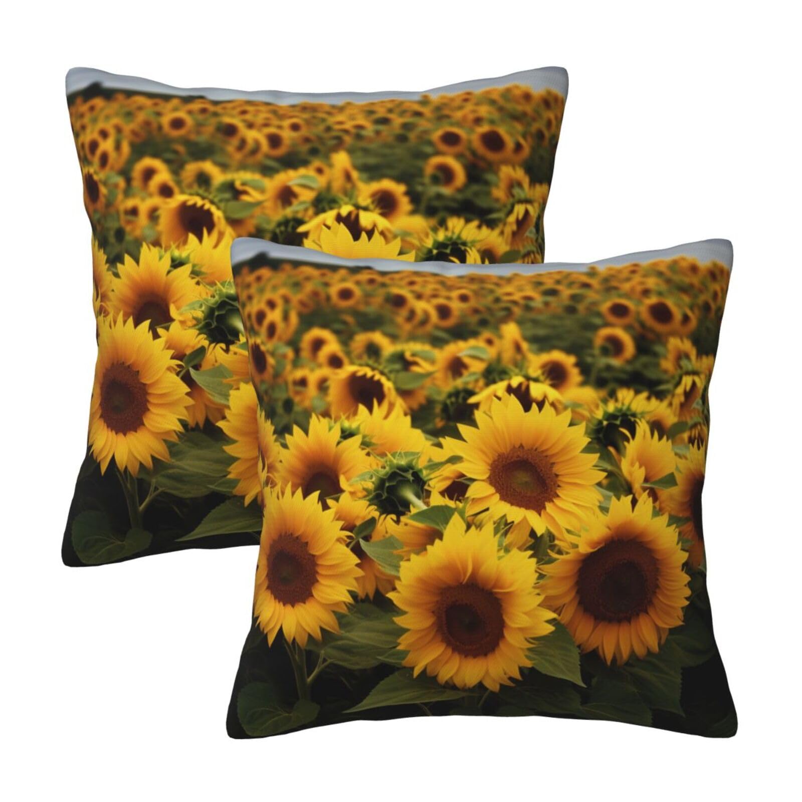 Yellow Sunflower Field Throw Pillow Cases 2 Pack Square Pillowcases Soft Pillow Protectors for Couch Livingroom Sofa Bed Office Car,40x40 CM