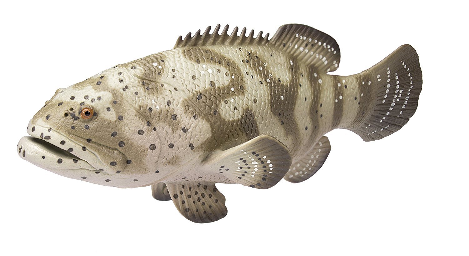Buy Safari Ltd Goliath Grouper Online at Low Prices in India Amazon.in