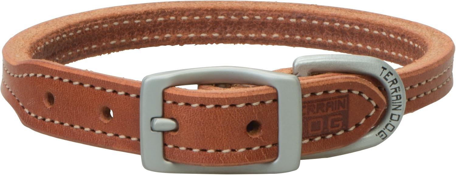 Terrain D.O.G. Buttered Harness Leather Hybrid Dog Collar