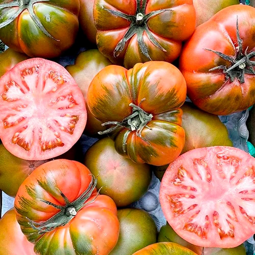 Tomate Raf | Comprar los mejores tomates Raf de temporada, frescos, de sabor único y cultivados de forma sostenible en España, directos del agricultor a tu mesa (3 Kg) - Imagen 4