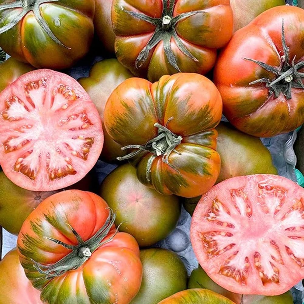 Tomate Raf | Comprar los mejores tomates Raf de temporada, frescos, de sabor único y cultivados de forma sostenible en España, directos del agricultor a tu mesa (4 Kg) — view 4