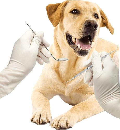 Vista 4 de HOKIN Removedor de placa para limpieza de dientes, kit de cuidado dental, púas dentales de acero inoxidable para hombres, mujeres, niños y cuidado