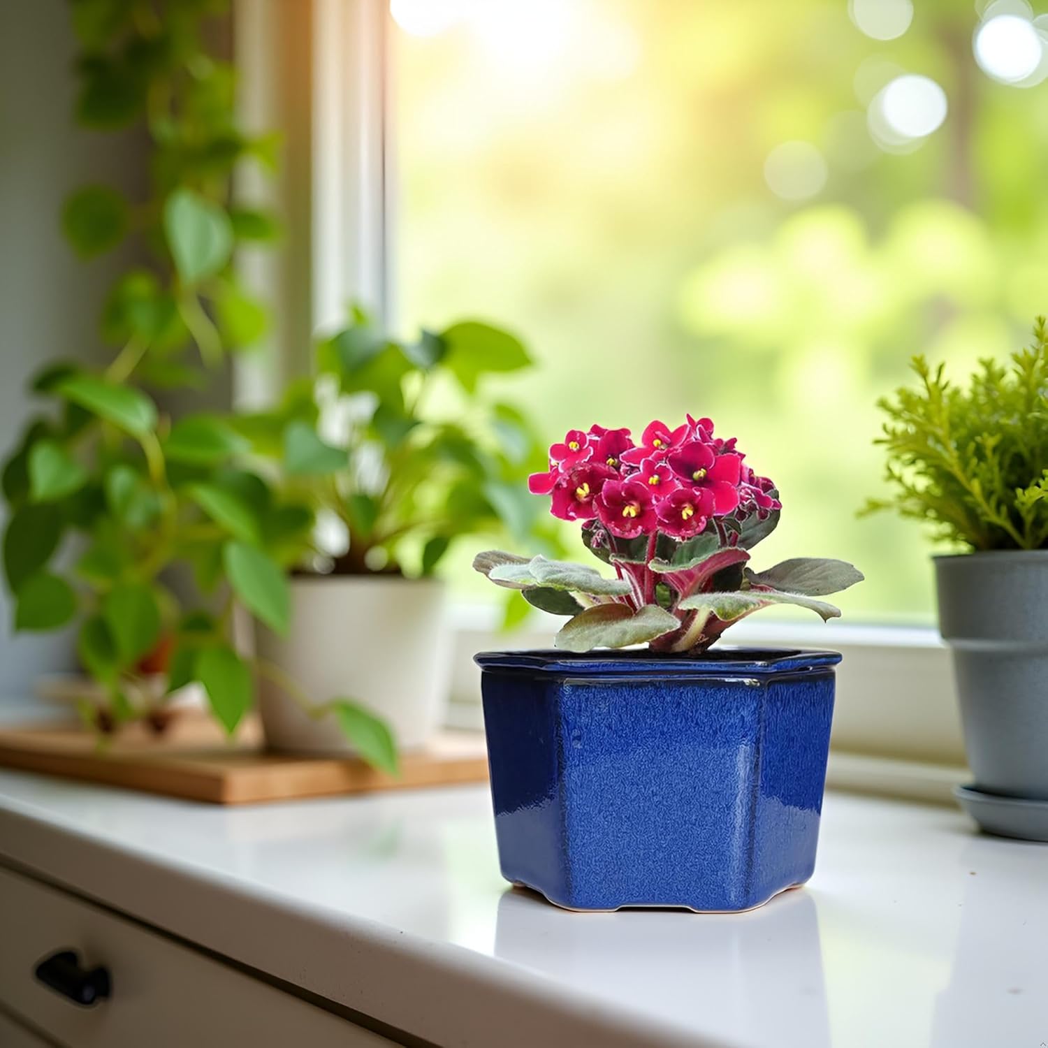 Blue African Violet Pots Round and Hexagon