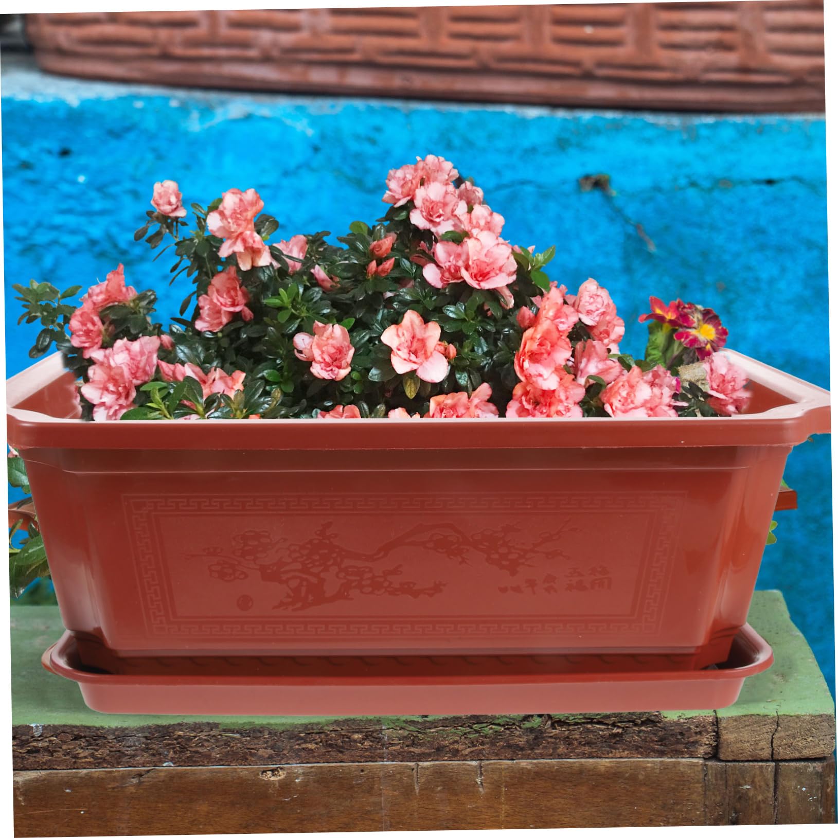 Maceta Ovalada De Plástico PP De 35.5x24.5x11 Cm Con Platillo, Marrón Oscuro, Con Drenaje, Ideal Para Bonsái, Suculentas Y Decoración De Balcón