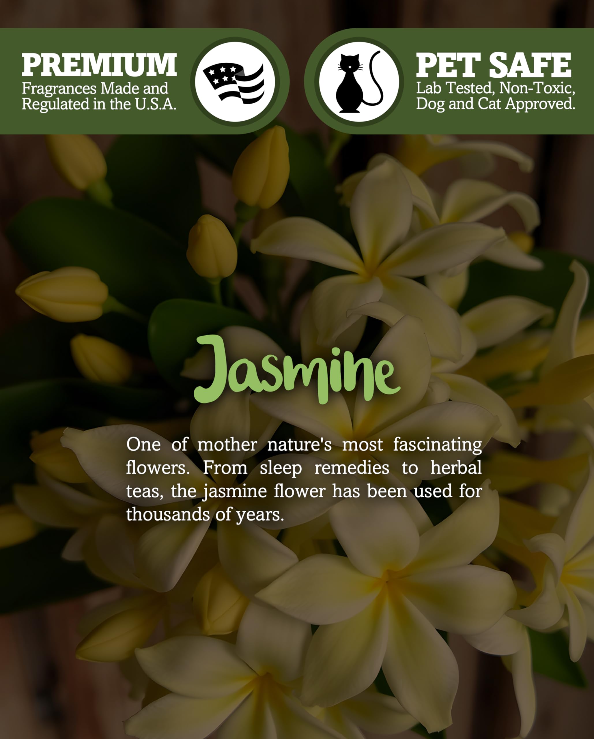 Pure Jasmine - Candele tealight di alta qualità, altamente profumate con oli naturali, 6 lumini gialli, bellissime candele a lume di candela, prodotte negli Stati Uniti, collezione Flower & Floral