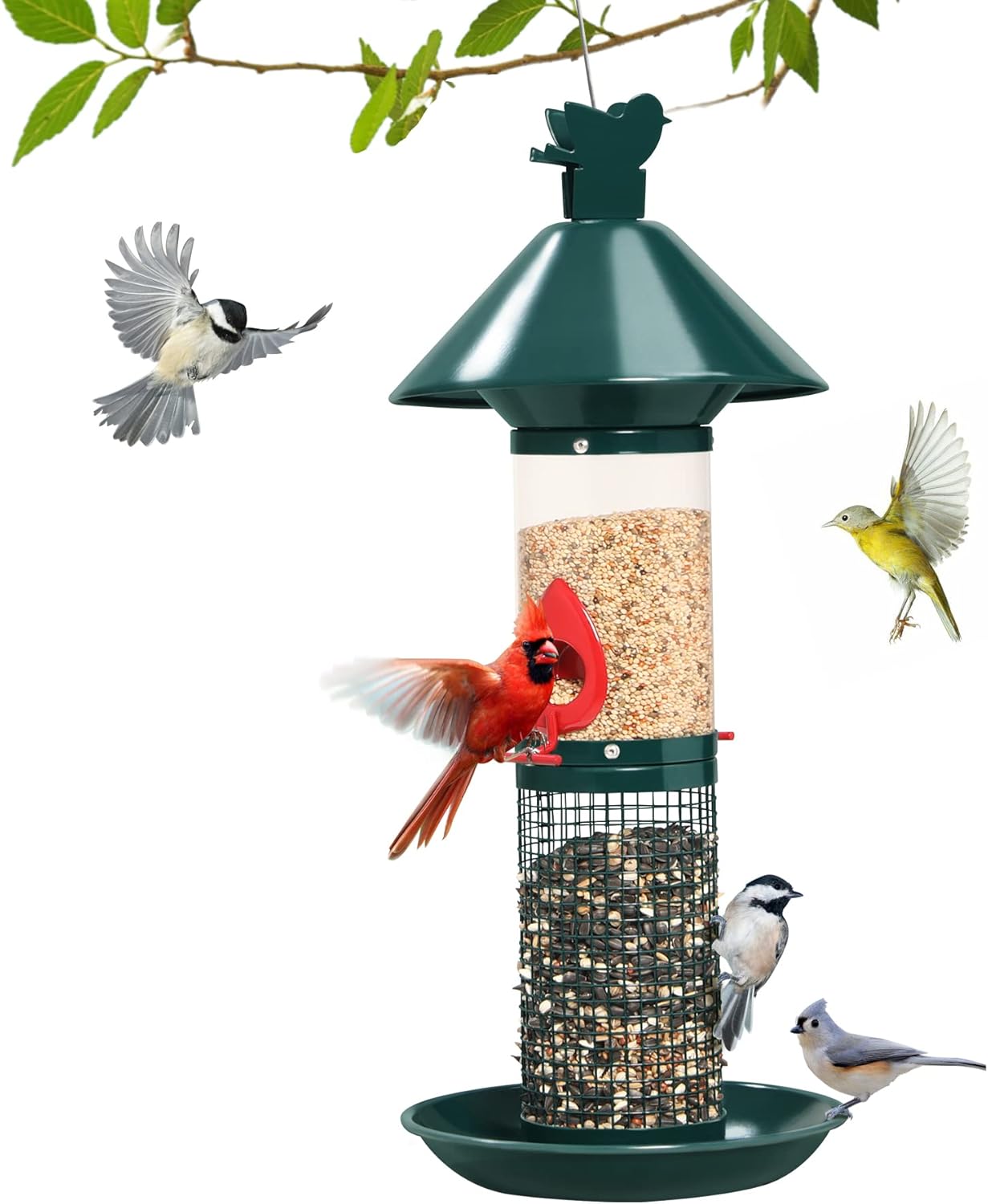 Metal Bird Feeders for Outside Wild Birds, Squirrel Proof