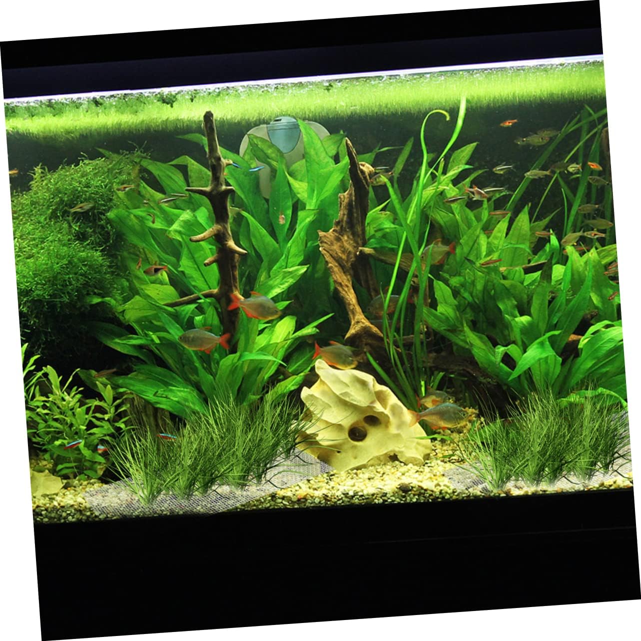 SUPVOX Stainless Steel Aquarium Mesh Pads Bendable Fish Tank Moss Net for Underwater Plants Durable Wire Mesh image 3