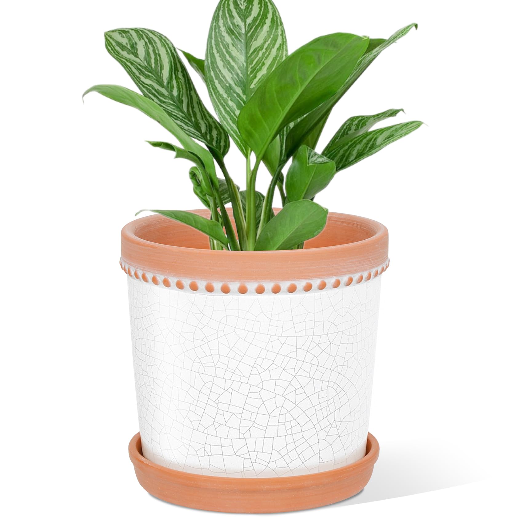 8 Inch Plant Pot for Indoor Plants, Ceramic Planter with Drainage Hole and Saucer, Indoor/Outdoor Modern Flower Pot for Home Garden Patio Office - White