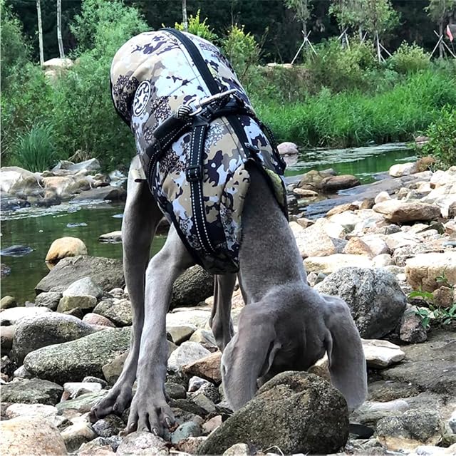 Foto 5 de 8 de Chaleco para Perros, Abrigo para Perros Impermeable