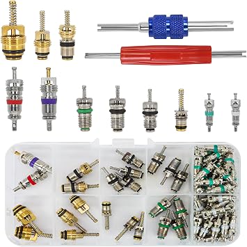 102Pcs Auto Air Conditioning Valve Core Accessories Kit A/C R12 R134a Automotive Air Conditioning Refrigeration Tire Valve Stem with Double Head Dismantling and Installer Tool Assortment Kit