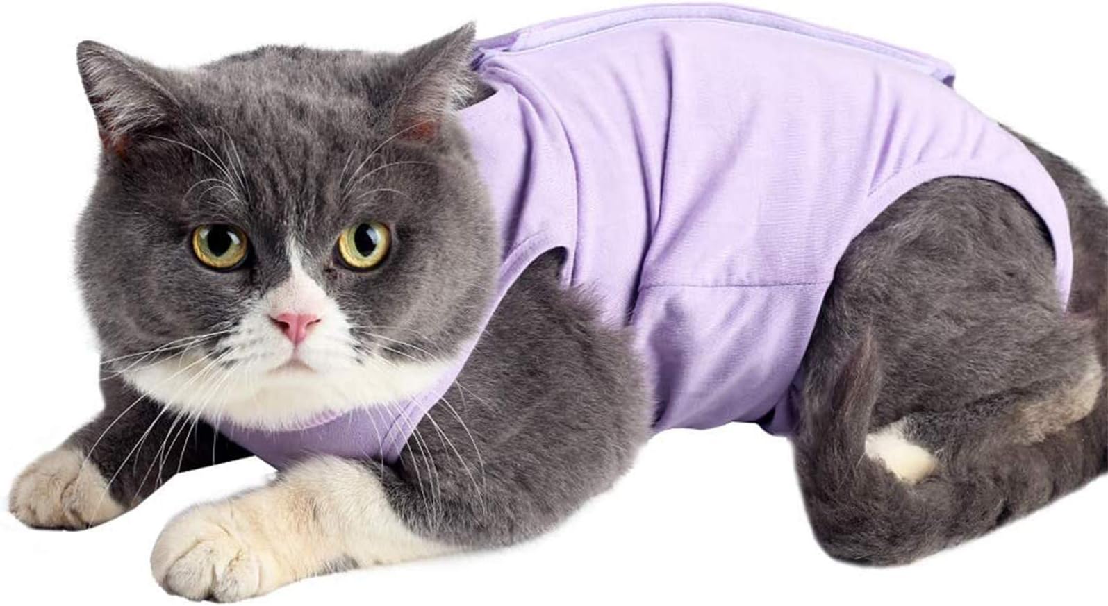 Cat Surgery Recovery Suit Cat Onesie for Cats After Surgery Spay Surgical Abdominal Wound Skin Diseases E-Collar Alternative Wear (Pruple-M)