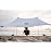 Neso Portable Beach Tent Sun Shelter with Sand Anchor - Lightweight Beach Shade Canopy - Easy Setup for Family Outings - Patented Reinforced Corners - UPF 50+ Sun Protection - 7 x 7ft - White