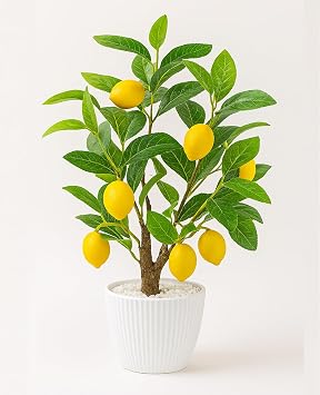 AceList Artificial Lemon Tree with White Pot, 18 Faux Citrus Plant for Kitchen, Bathroom, Office or Shelf Decor, Vibrant Year-Round Home Accent Gift