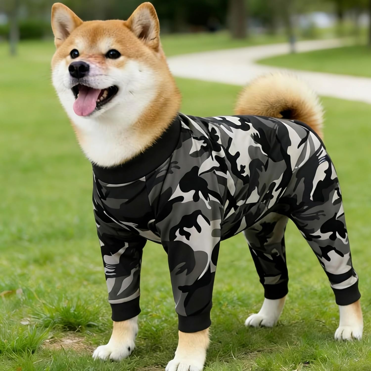 Xqpetlihai Dog Onesie Surgery Recovery Suit for Medium Large Dogs Recovery Shirt for Abdominal Wounds or Skin Diseases Bodysuit Dogs Pajamas (L,C)