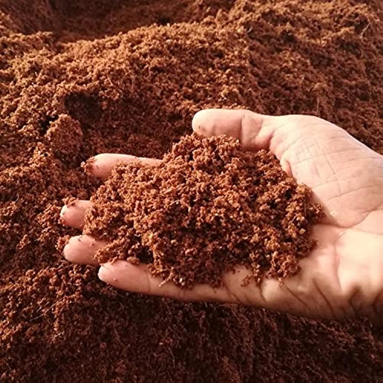 LIVE GREEN Peat Moss Use for Every Plants Seed Germination Pack, 1 Kg (B0995Q1BVY) Amazon Price History, Amazon Price Tracker