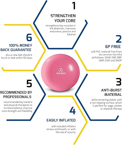 Miniatura 7 de ProBody Pilates Pelota pequeña de ejercicio con bomba, bola de barra de 9 pulgadas, mini pelota de yoga suave, pelota de entrenamiento para