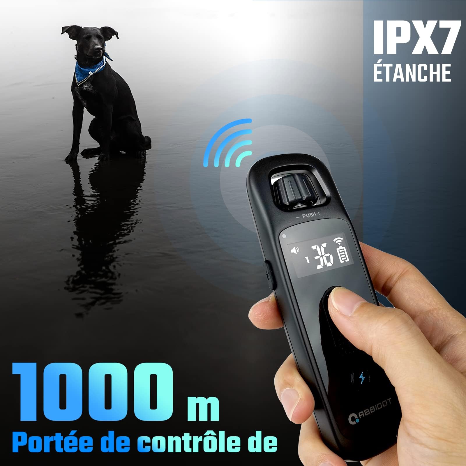 ABBIDOT Collier De Dressage pour Chien 5 Modes 36 Niveaux De Chocs Sûrs Portée De 1000m étanche pour Petits Moyens Grands Chiens 6~55 Kg