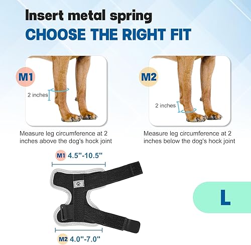 Miniatura 4 de Soporte ajustable para pierna delantera para perro, soporte de tobillo para lomo delantero, férula de muñeca para perro con resortes metálicos