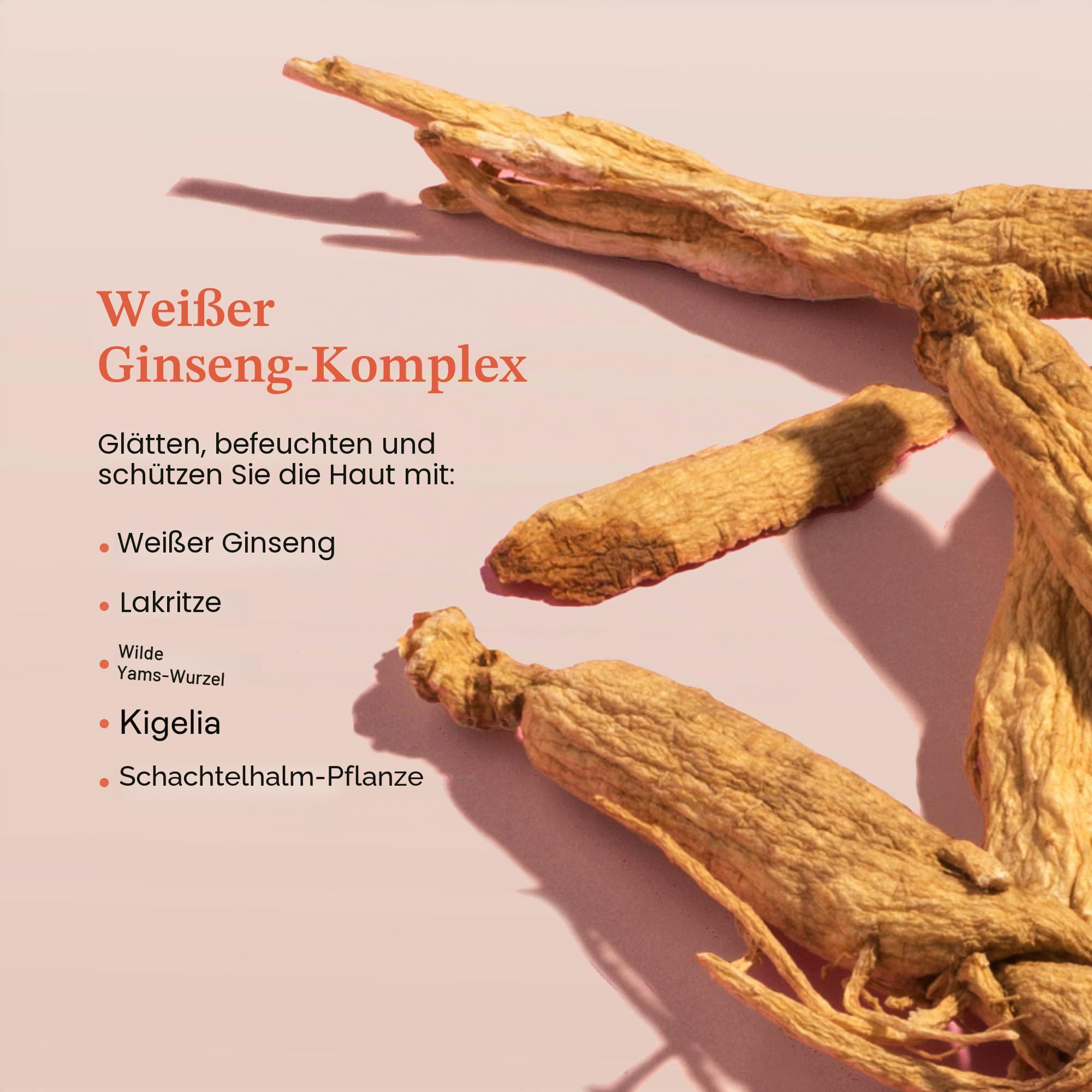 Erborian Ginseng Infusion Total Eye Treatment - Anti-Aging und Anti-Müdigkeit Augencreme gegen trockenheitsfältchen und Augenringe - Koreanische Gesichtspflege mit Ginseng-Extrakt - 15ml