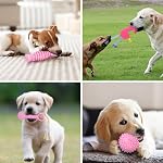 Jouet de chiot pour les dents doux & Durable 6-pack Jouets pour petits et moyens chiens pour chiens de 2 à 8 mois Puppies6 boîte rose)