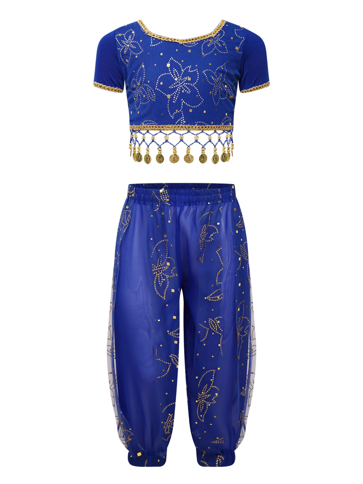 Costume Danse Du Ventre TTAO - Robe Orientale Avec Haut Pailleté Et Jupe Pour Spectacle