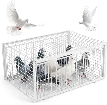Pigeon Trap Escape-Proof Pigeon Cage with Two One-Way Access Entrances Portable Bird Trap for Rooftops, Open Gardens, Barns Farms Bird Cage