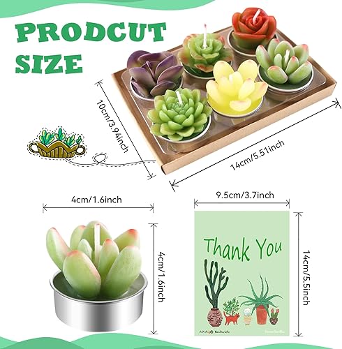 Miniatura 3 de AIXIANG 12 velas de cactus para suculentas, recuerdos de boda para invitados, regalos de despedida de soltera, regalos de baby shower, regalos de
