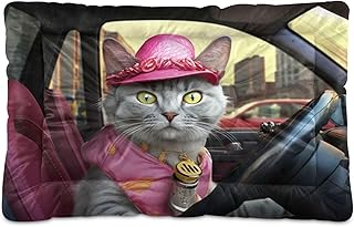 Kigai Driver Cat Dog Bed Machine Washable Pet Bed Mattress Comfortable Soft Pet Bed Mat Non-Slip Bottom Couch for Small Medium Dogs,36x24 Inch