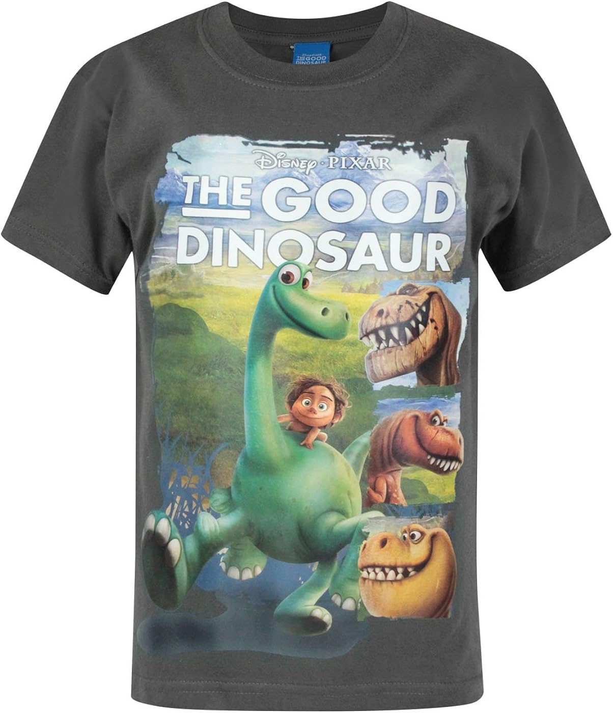 Good Dinosaur Boy's T-Shirt 
