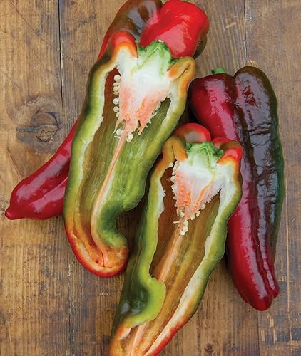 Miniatura 6 de Burpee Thunderbolt Hybrid - Semillas de pimiento dulce italiano  20 semillas sin OMG  Semillas de vegetales para plantar  Cultiva tus propias