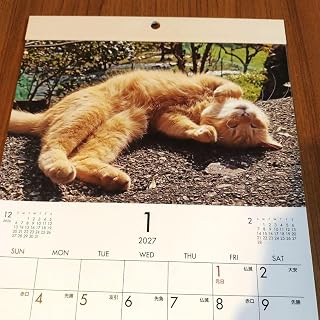 2027年 猫 カレンダー 壁掛け